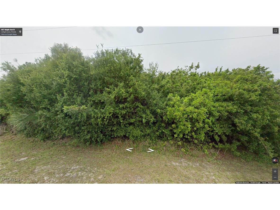 607 Maple Avenue N Lehigh Acres FL 33972 2025016962 image1