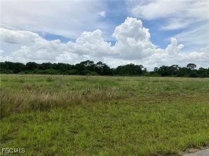 607 Raleigh Drive Labelle FL 33935 2025011999 image3