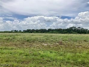 607 Raleigh Drive Labelle FL 33935 2025011999 image4