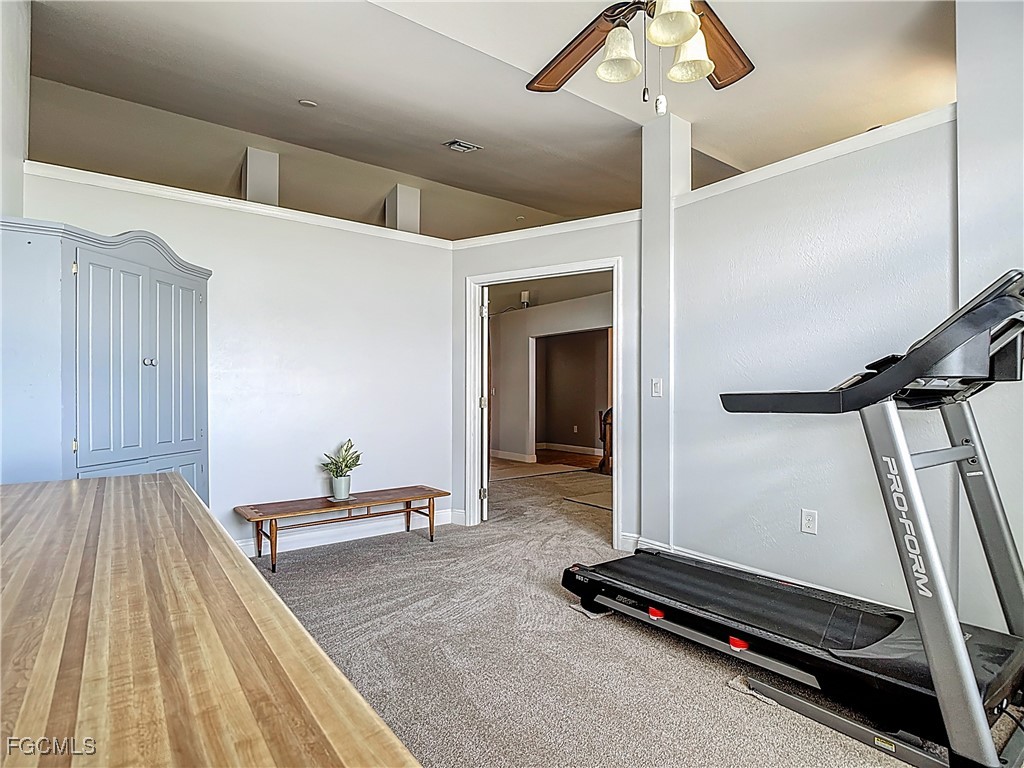 607 Tropicana Parkway W Cape Coral FL 33993 2025003838 image28