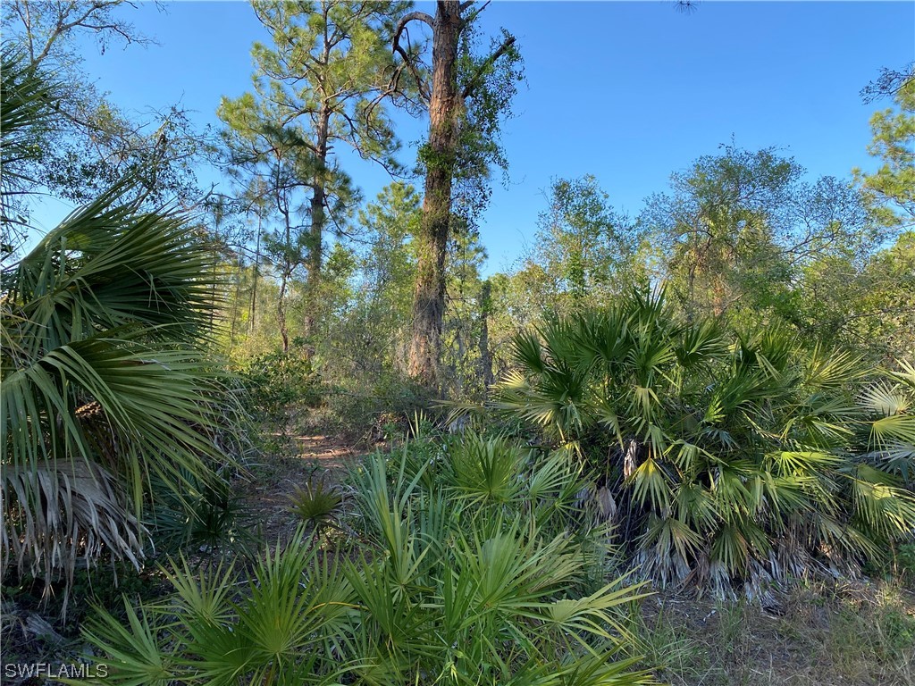 608 Myers Court Lehigh Acres FL 33972 223015088 image1