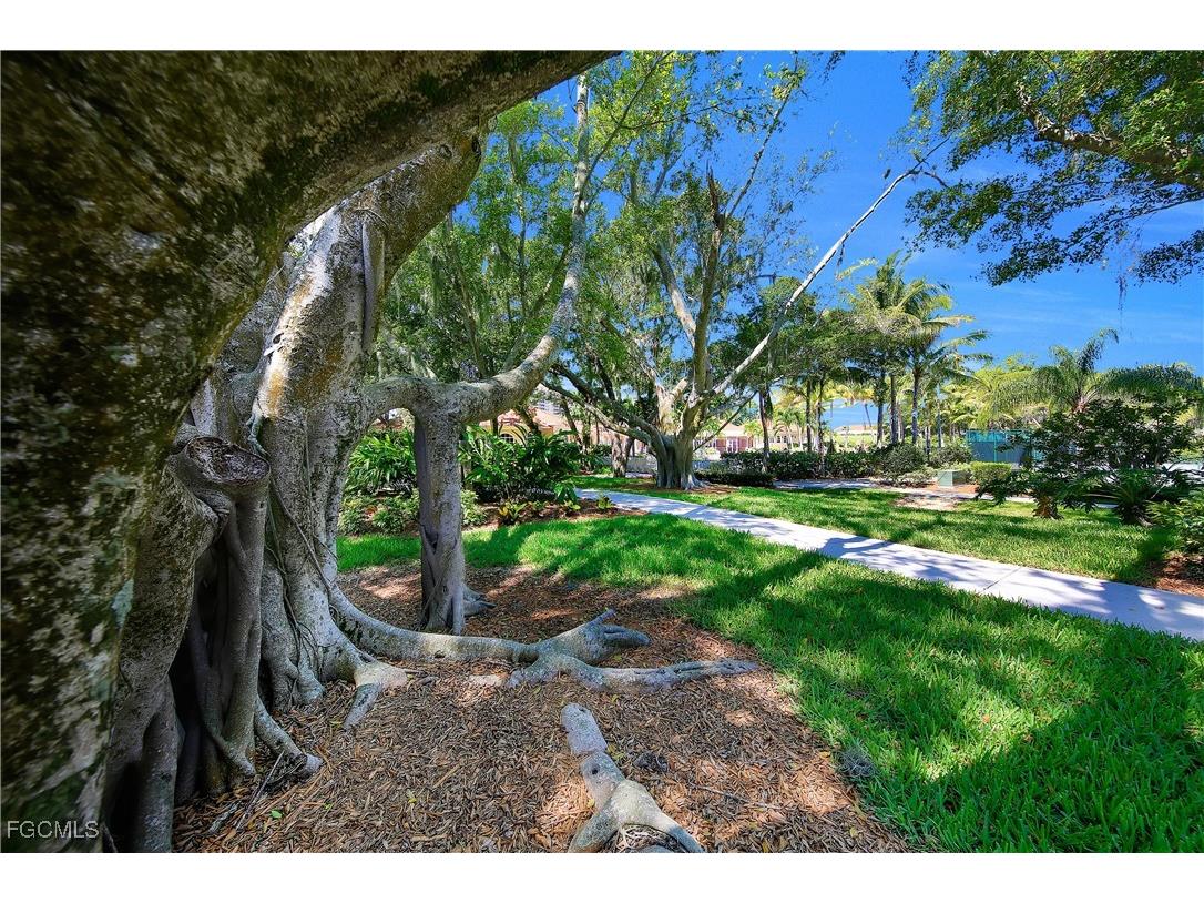 6081 Silver King Boulevard #404 Cape Coral FL 33914 2025017916 image47