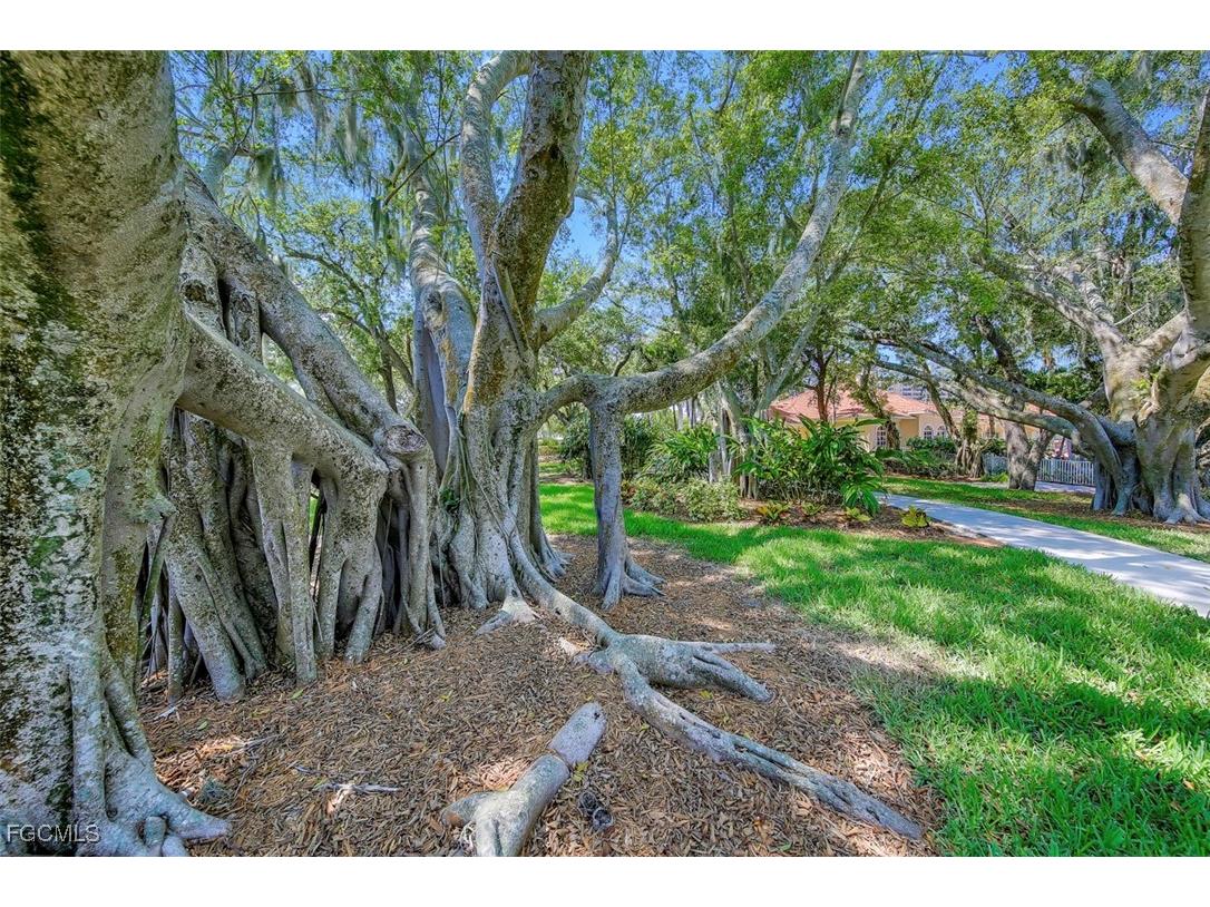 6081 Silver King Boulevard #501 Cape Coral FL 33914 2025014767 image48