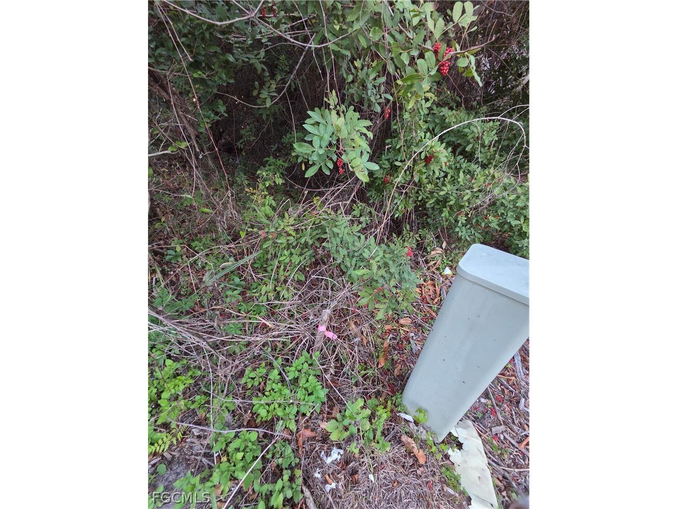  Lehigh Acres FL 33972 2026011520 image38