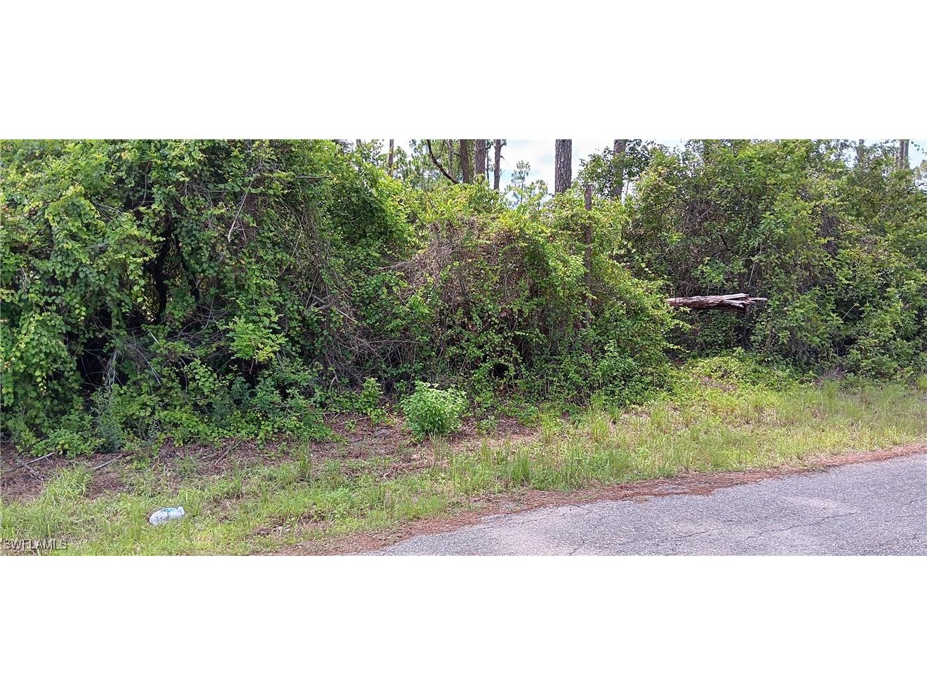 610 Wabasso Avenue S Lehigh Acres FL 33974 225061343 image4