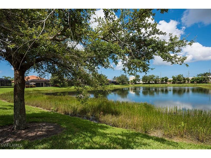 6101 Dogleg Drive Naples FL 34113 225069344 image23