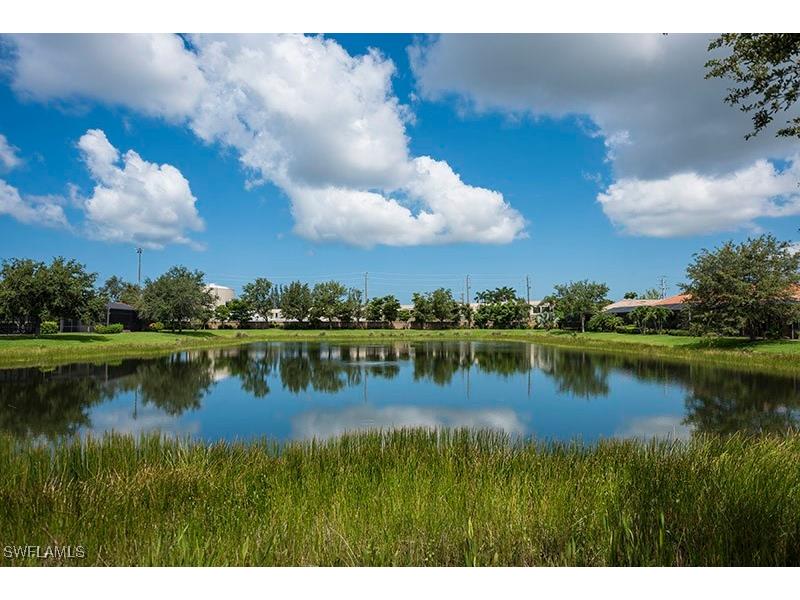 6101 Dogleg Drive Naples FL 34113 225069344 image25