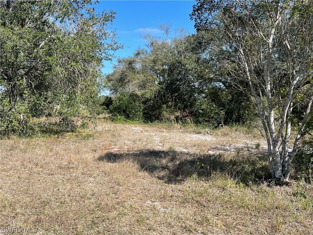 611 Tarapin Avenue Lehigh Acres FL 33974 223013274 image1