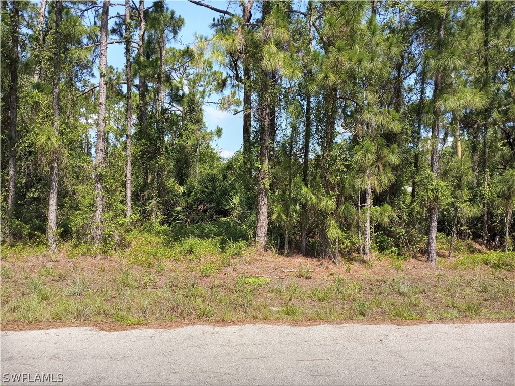 614 Flamingo Avenue S Lehigh Acres FL 33974 222046398 image1