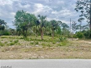 614 Grant Ave Lee FL 33972 2026011660 image2