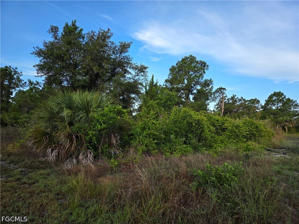 615 Johns Avenue Lehigh Acres FL 33972 2026022925 image1