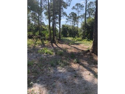 615 S Shetland Street Montura Ranches FL 33440 223081105 image1