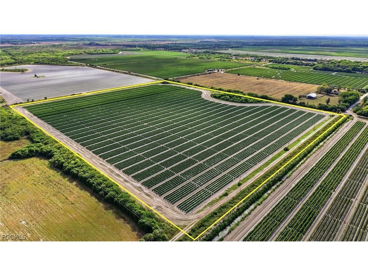 6150 Pringle Lane Immokalee FL 34142 2025019339 image14