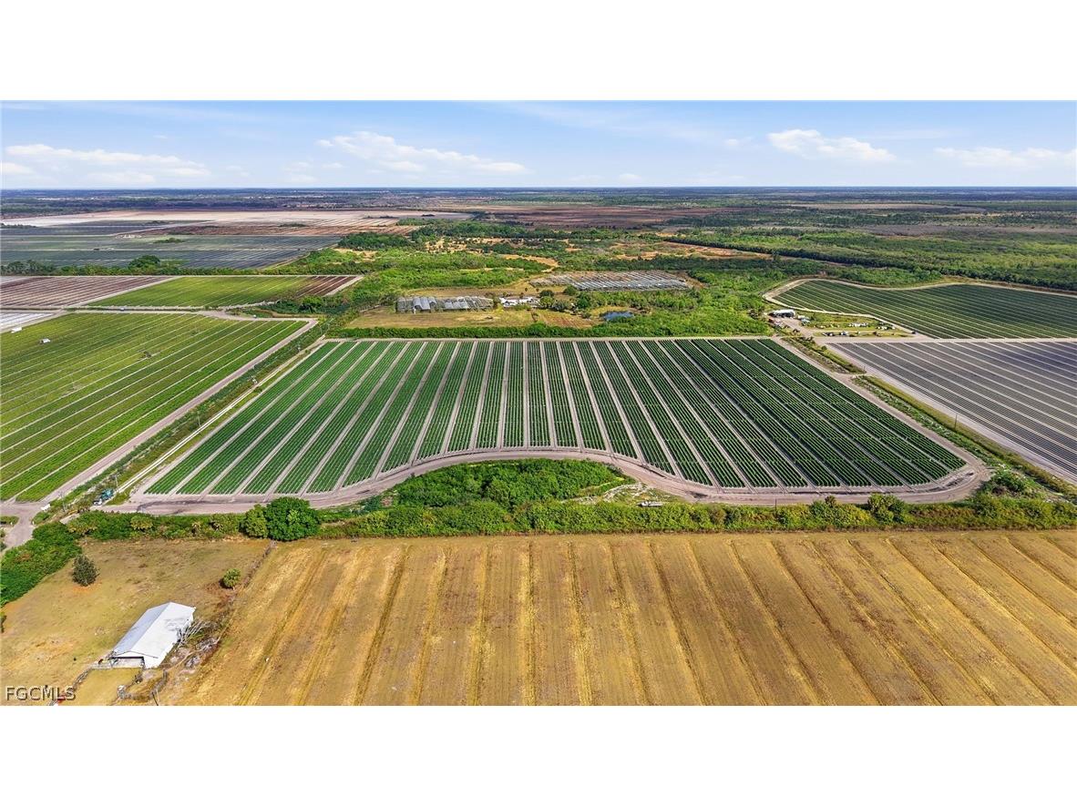 6150 Pringle Lane Immokalee FL 34142 2025019339 image19