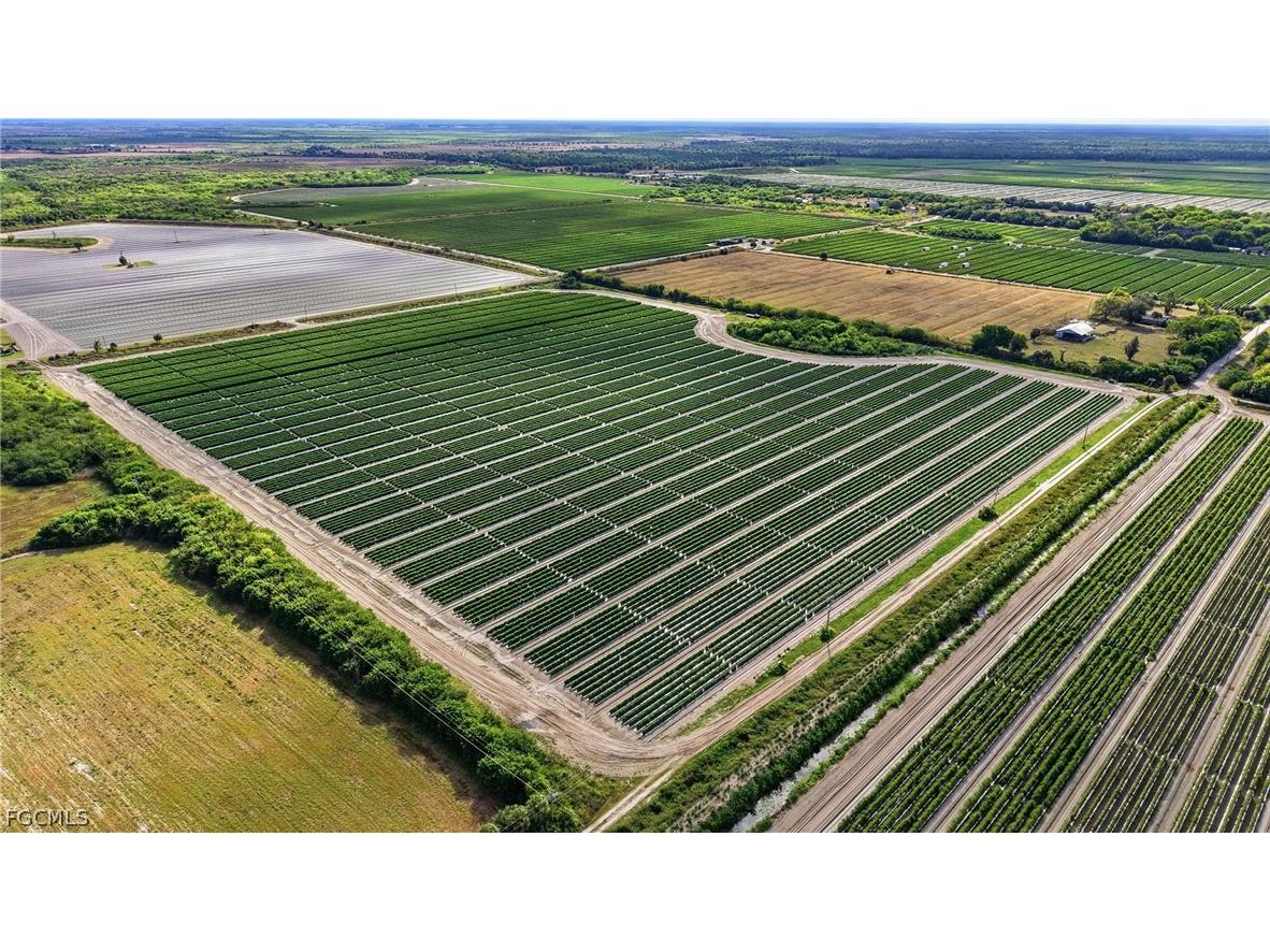 6150 Pringle Lane Immokalee FL 34142 2025019339 image20