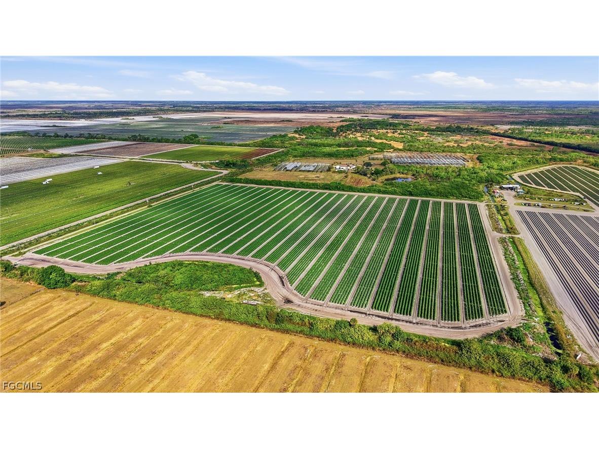 6150 Pringle Lane Immokalee FL 34142 2025019339 image21