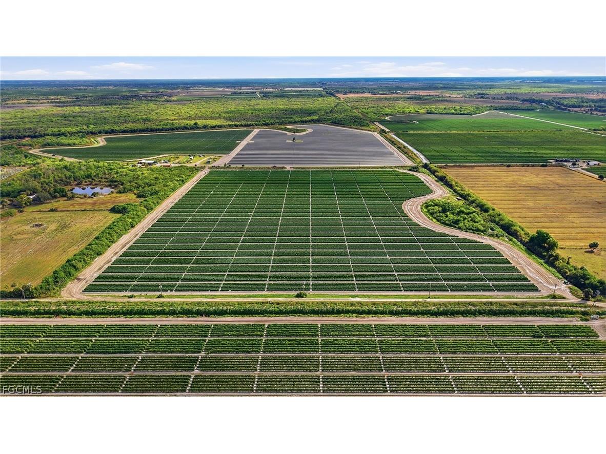 6150 Pringle Lane Immokalee FL 34142 2025019339 image22