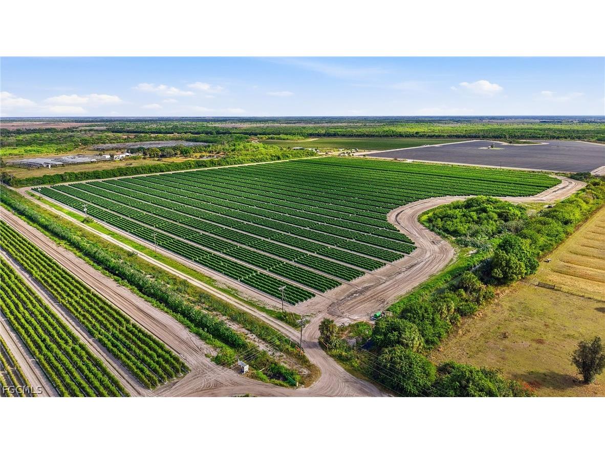 6150 Pringle Lane Immokalee FL 34142 2025019339 image23