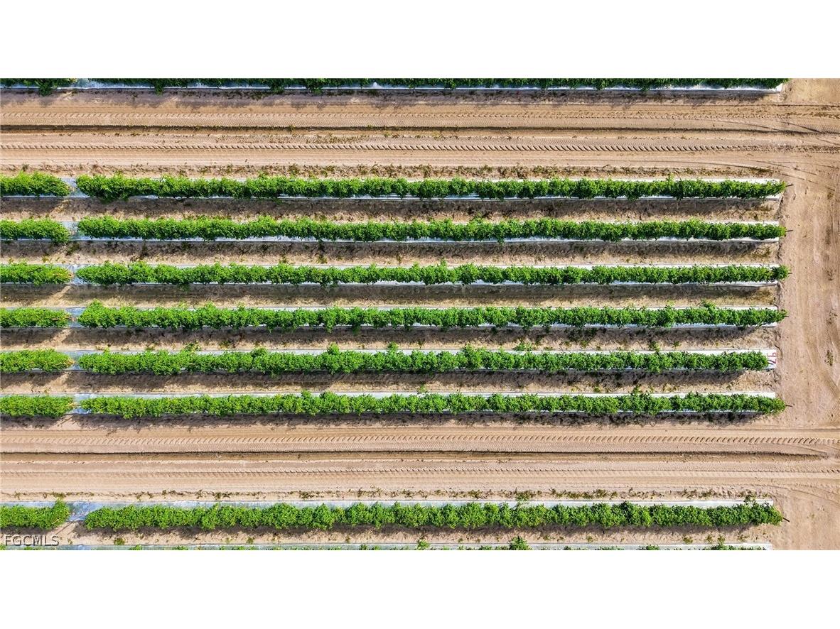 6150 Pringle Lane Immokalee FL 34142 2025019339 image25