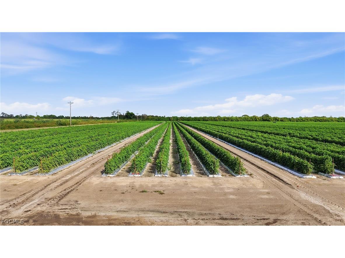 6150 Pringle Lane Immokalee FL 34142 2025019339 image30