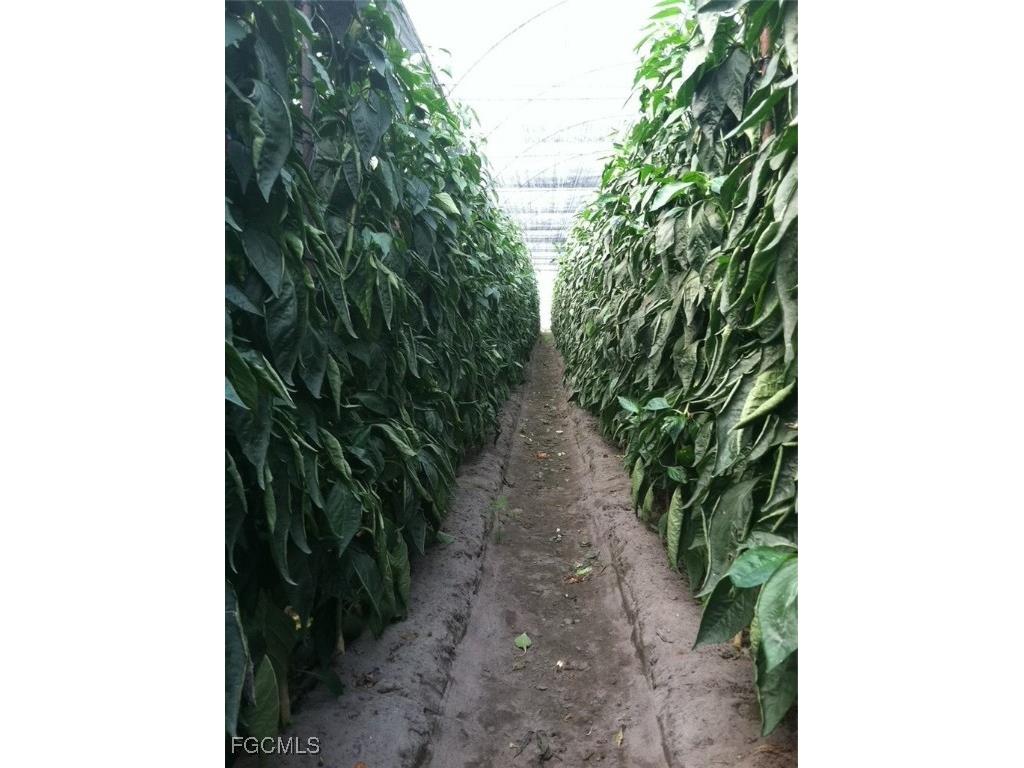 6150 Pringle Lane Immokalee FL 34142 2025019339 image6