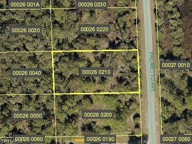 617 Palmetto Avenue Lehigh Acres FL 33972 221062394 image1