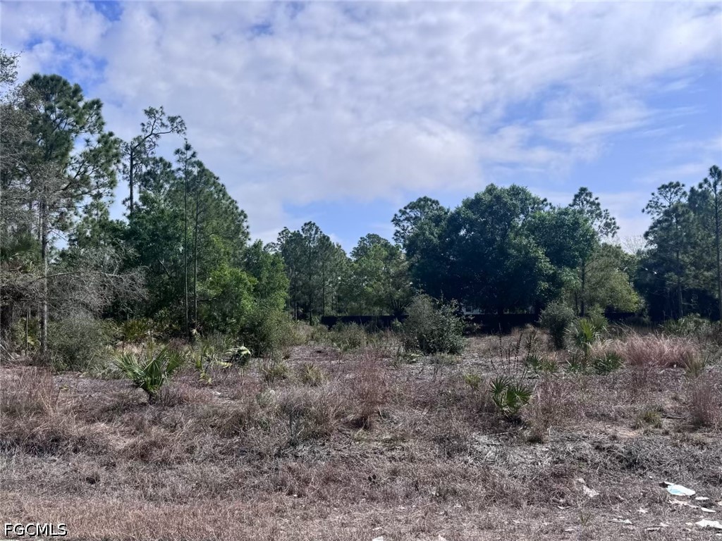 618 Leroy Avenue Lehigh Acres FL 33972 2026022749 image2
