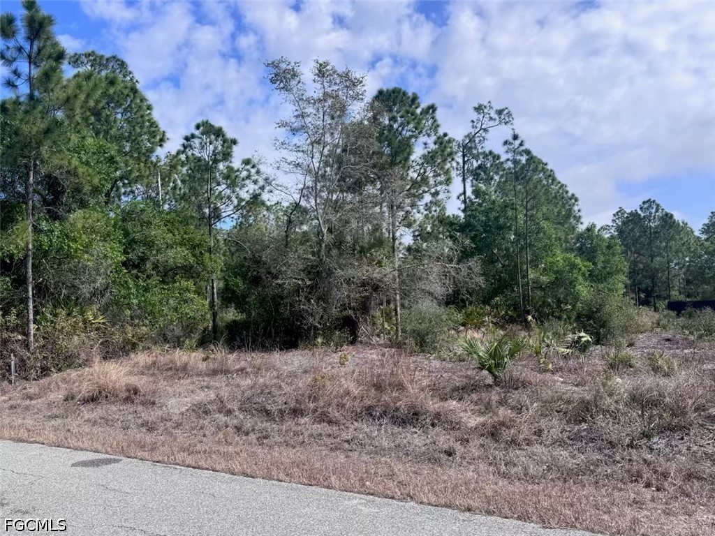 618 Leroy Avenue Lehigh Acres FL 33972 2026022749 image3