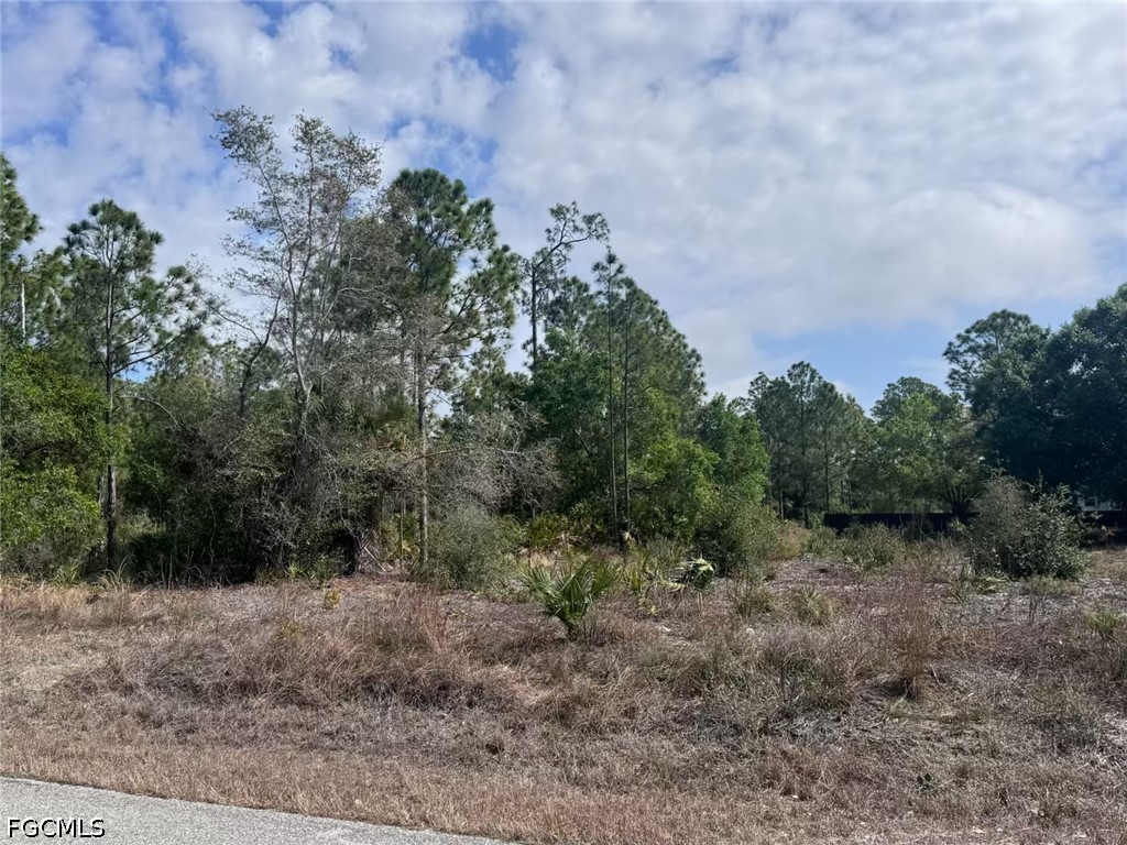 618 Leroy Avenue Lehigh Acres FL 33972 2026022749 image4