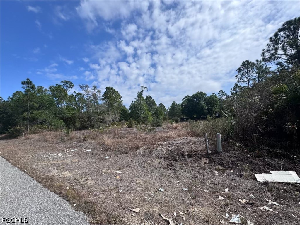 618 Leroy Avenue Lehigh Acres FL 33972 2026022749 image8