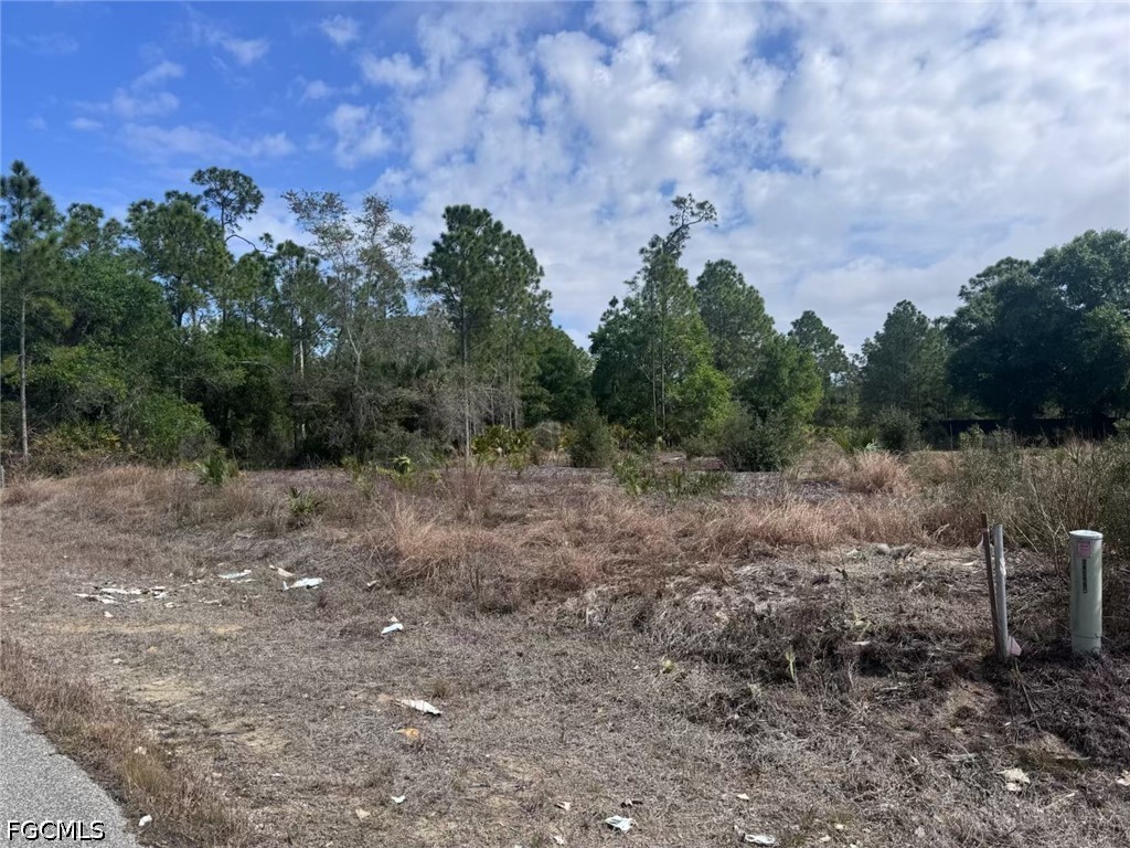 618 Leroy Avenue Lehigh Acres FL 33972 2026022749 image9
