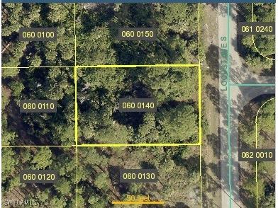 618 Locust Avenue S Lehigh Acres FL 33974 224064330 image1