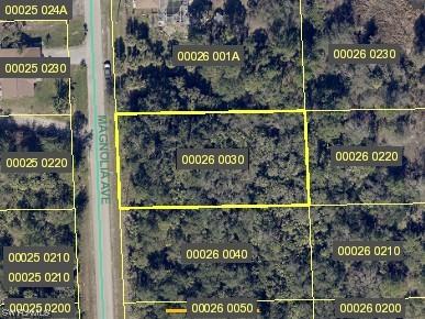 618 Magnolia Avenue Lehigh Acres FL 33972 223076365 image1