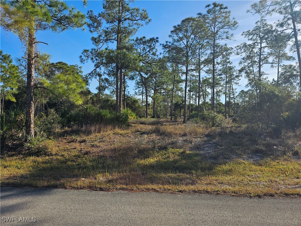 618 Scott Avenue Lehigh Acres FL 33972 224095207 image1