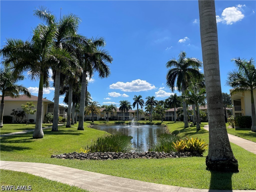 6184 Michelle Way #213 Fort Myers FL 33919 226019486 image10