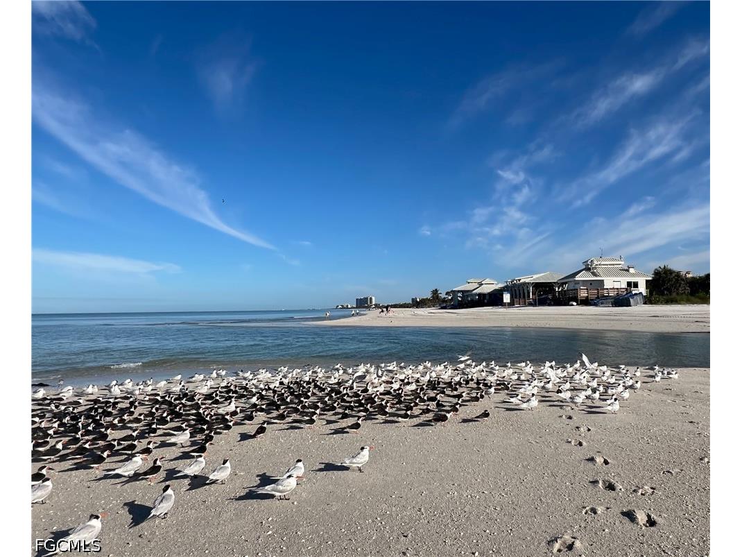 619 Beachwalk Circle #I201 Naples FL 34108 2026016890 image27