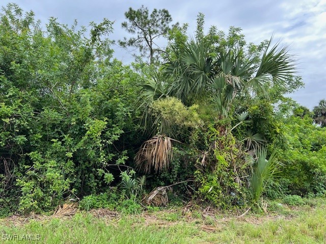 619 Clancy Street E Lehigh Acres FL 33974 225059715 image1