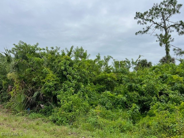 619 Clancy Street E Lehigh Acres FL 33974 225059715 image2