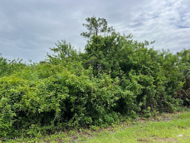 619 Clancy Street E Lehigh Acres FL 33974 225059715 image3