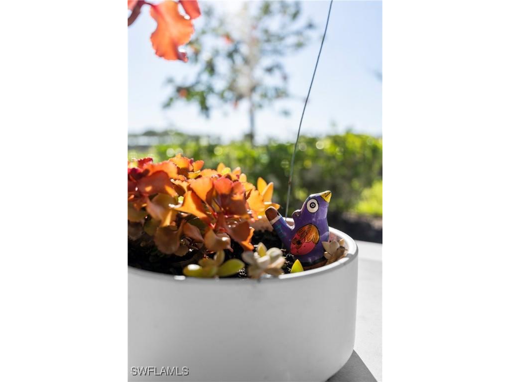 6198 Revelry Court Ave Maria FL 34142 226004893 image37