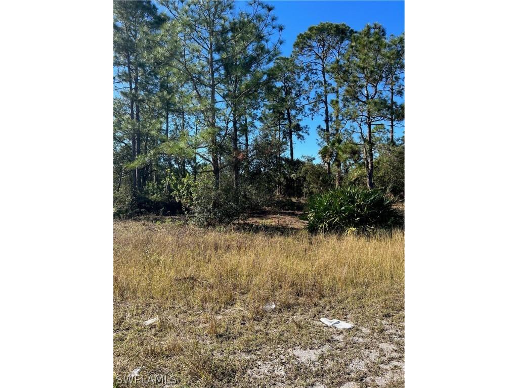 620 Delmonico Street Lehigh Acres FL 33974 223003183 image1