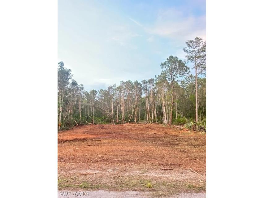 623 Delmonico Street Lehigh Acres FL 33974 223047374 image1