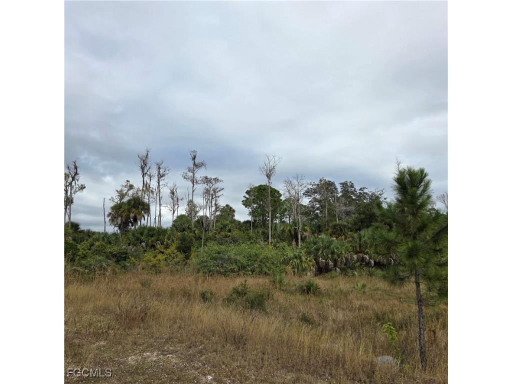 623 Lionel Court Lehigh Acres FL 33972 2025024442 image5