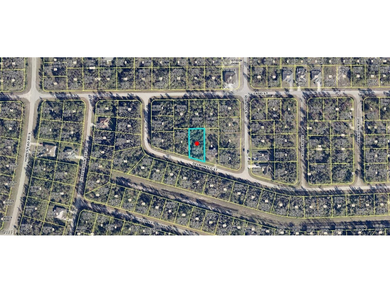 625 Delmonico Street Lehigh Acres FL 33974 224032503 image1