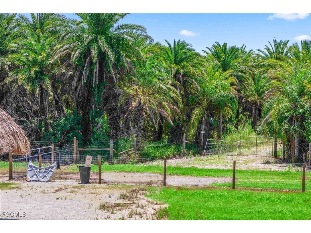 6250 Masters Landing Drive Saint James City FL 33956 2025005646 image13