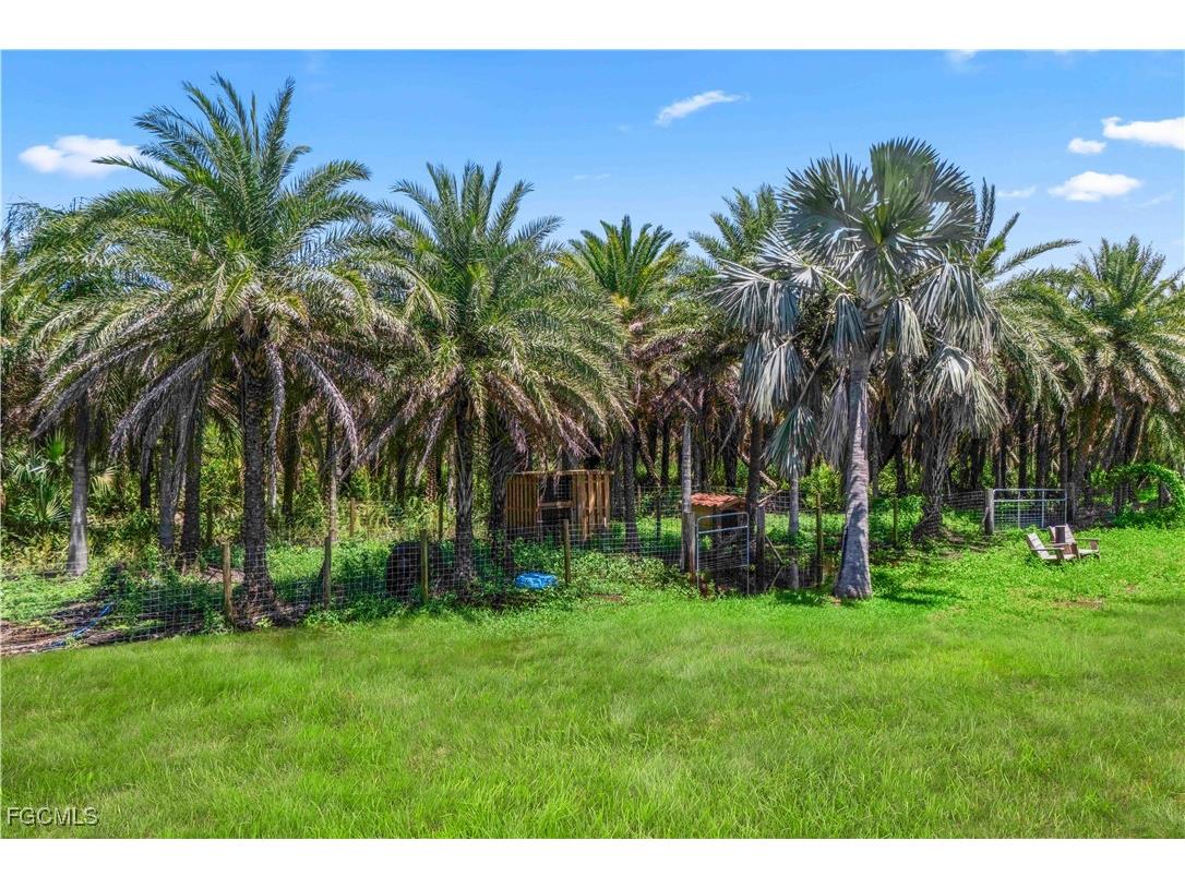 6250 Masters Landing Drive Saint James City FL 33956 2025005646 image16