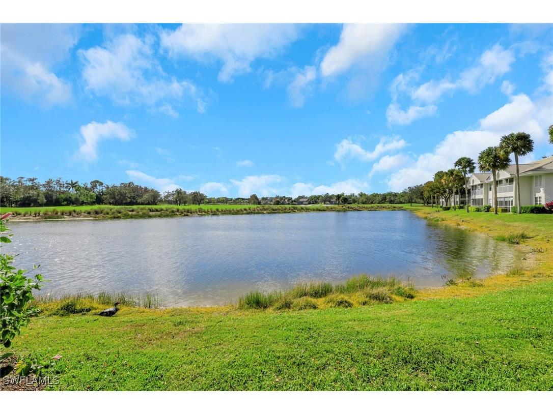 6260 Bellerive Avenue #4 Naples FL 34119 226003401 image25