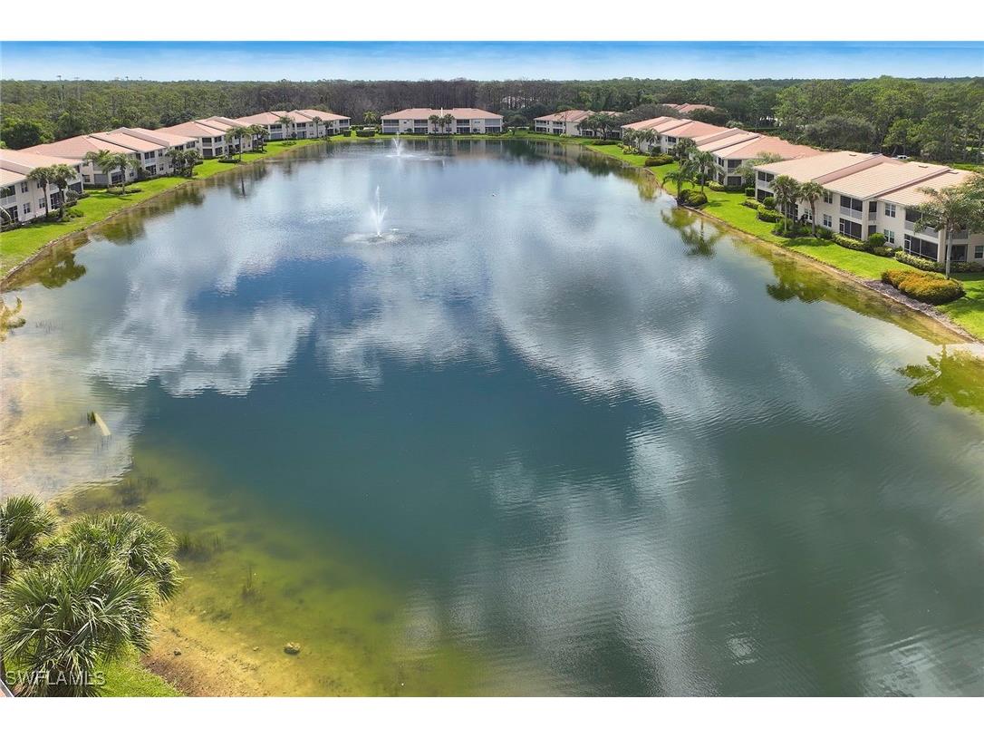 6275 Wilshire Pines Circle #1008 Naples FL 34109 225063261 image29