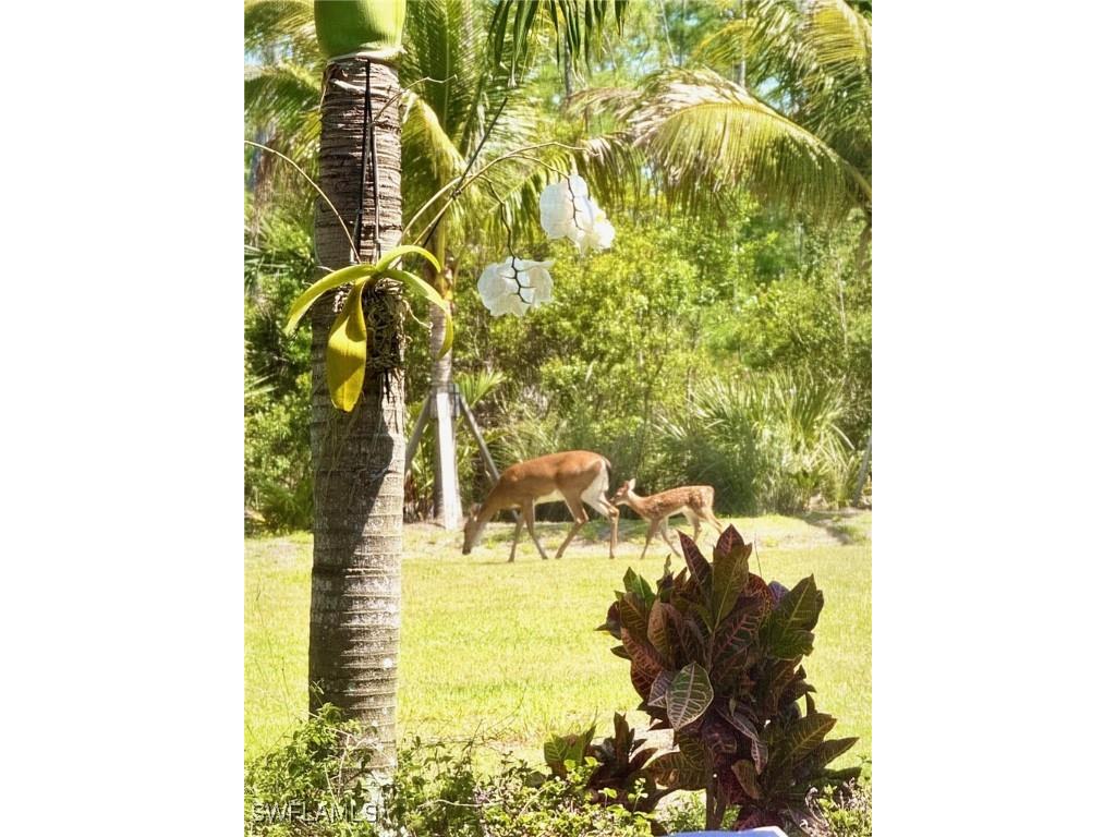 6277 Antigua Way Naples FL 34113 225072988 image30