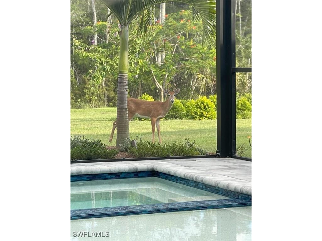 6277 Antigua Way Naples FL 34113 225072988 image31